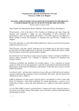 Remarks by the Head of the OSCE Presence in Albania, Ambassador Eugen Wollfarth, at a conference on increasing women's participation in political and public life, 9 November 2010 (sq)