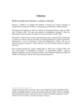 Petition for protection order (sq)